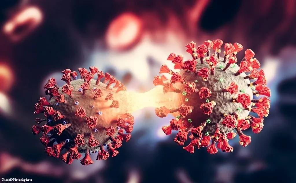 Perbedaan Bakteri dan Virus