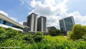 Perbedaan Universitas dan Sekolah Tinggi